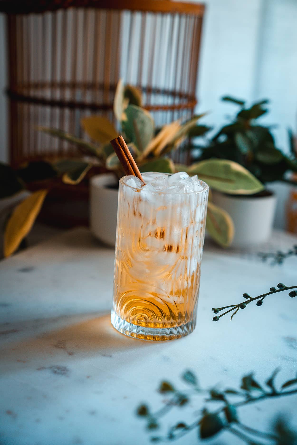 Gin Apple Juice Highball 4 Gin and Apple Juice Cocktail Recipe