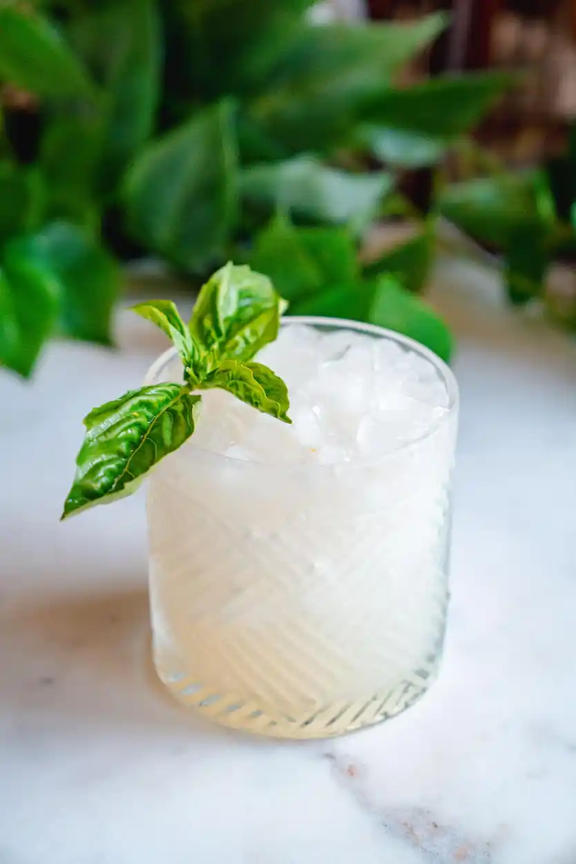 50 Two-Ingredient Cocktails: The Complete List 11 Gin and Lemonade cocktail recipe
