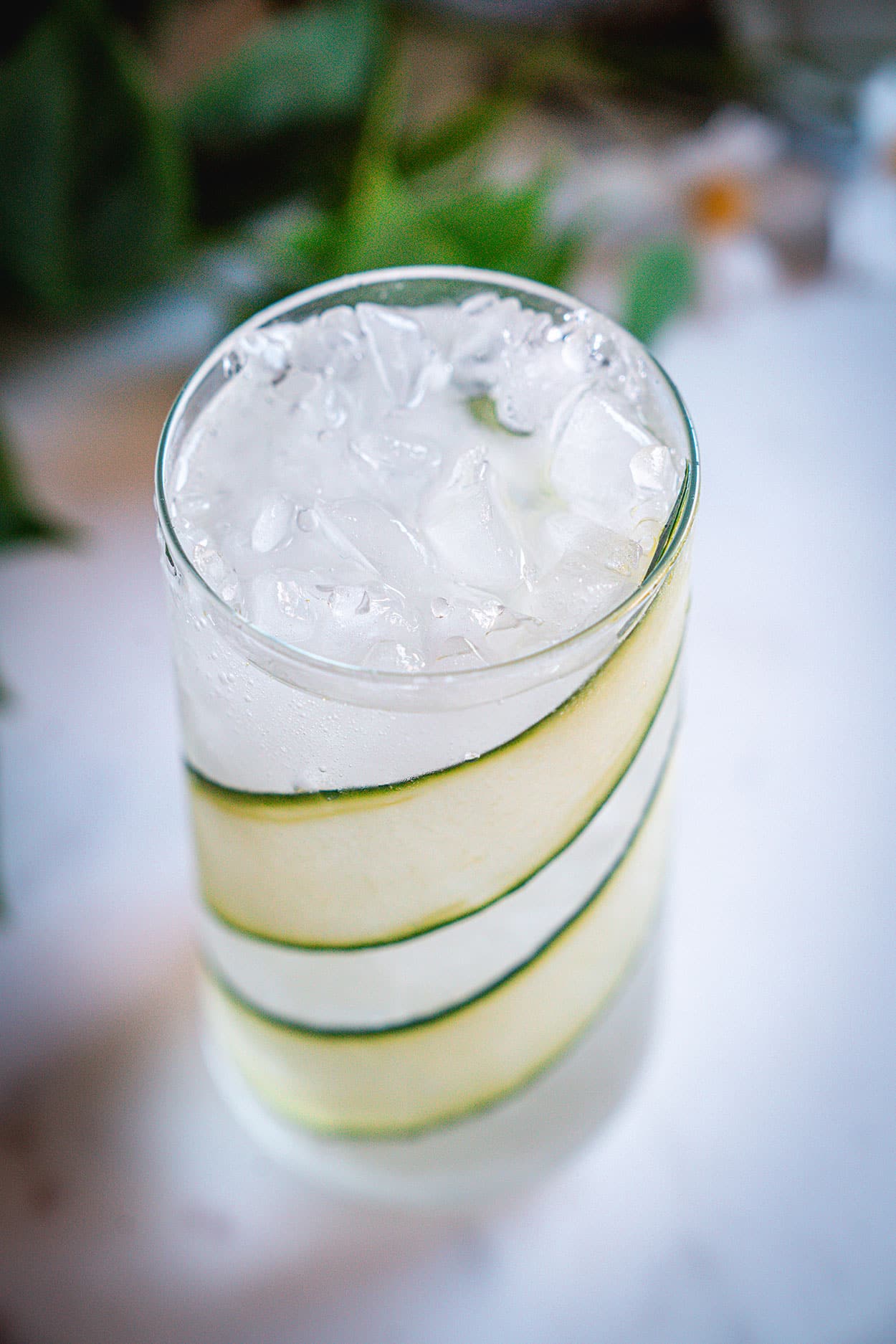 Gin & Soda 5 Gin and Soda cocktail recipe