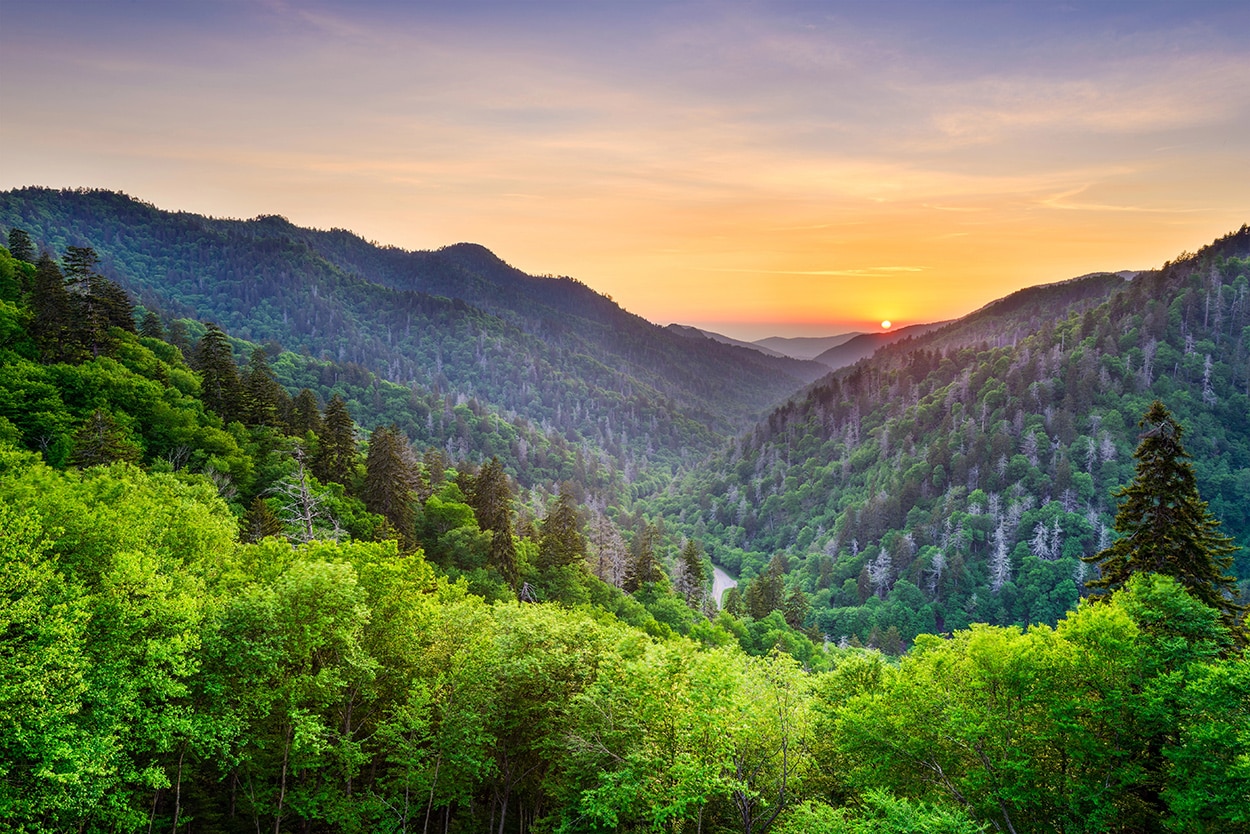 Family Vacations That Actually Cost Under $3,000 (Including Flights) 8 Great Smoky Mountains
National Park