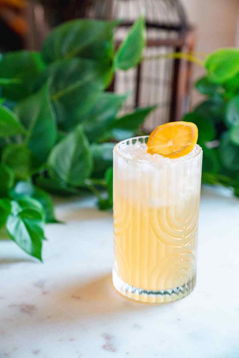 Rum Lemonade 2 Rum Lemonade cocktail recipe