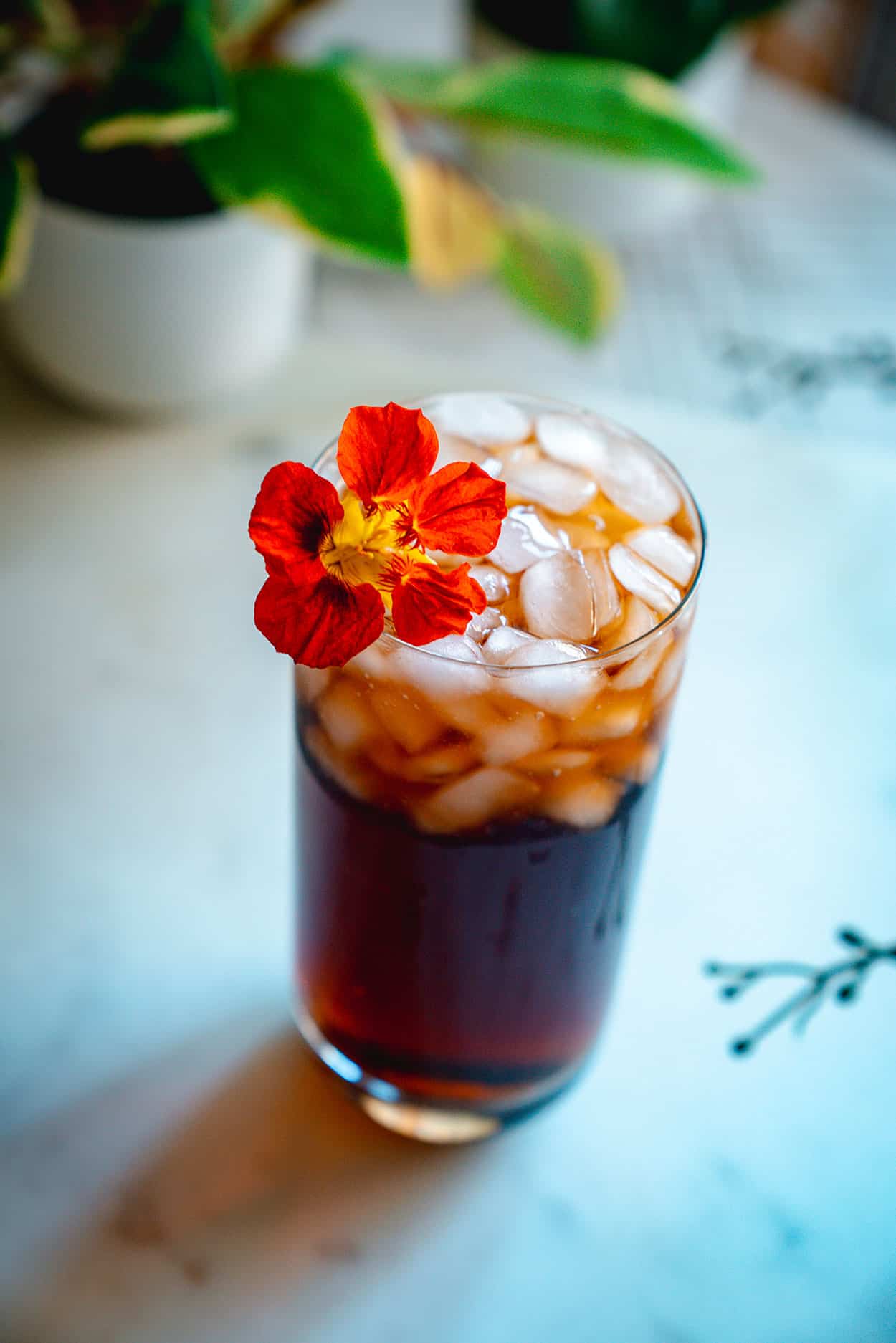 Rum and Coke 6 Rum and Coke Cocktail Recipe