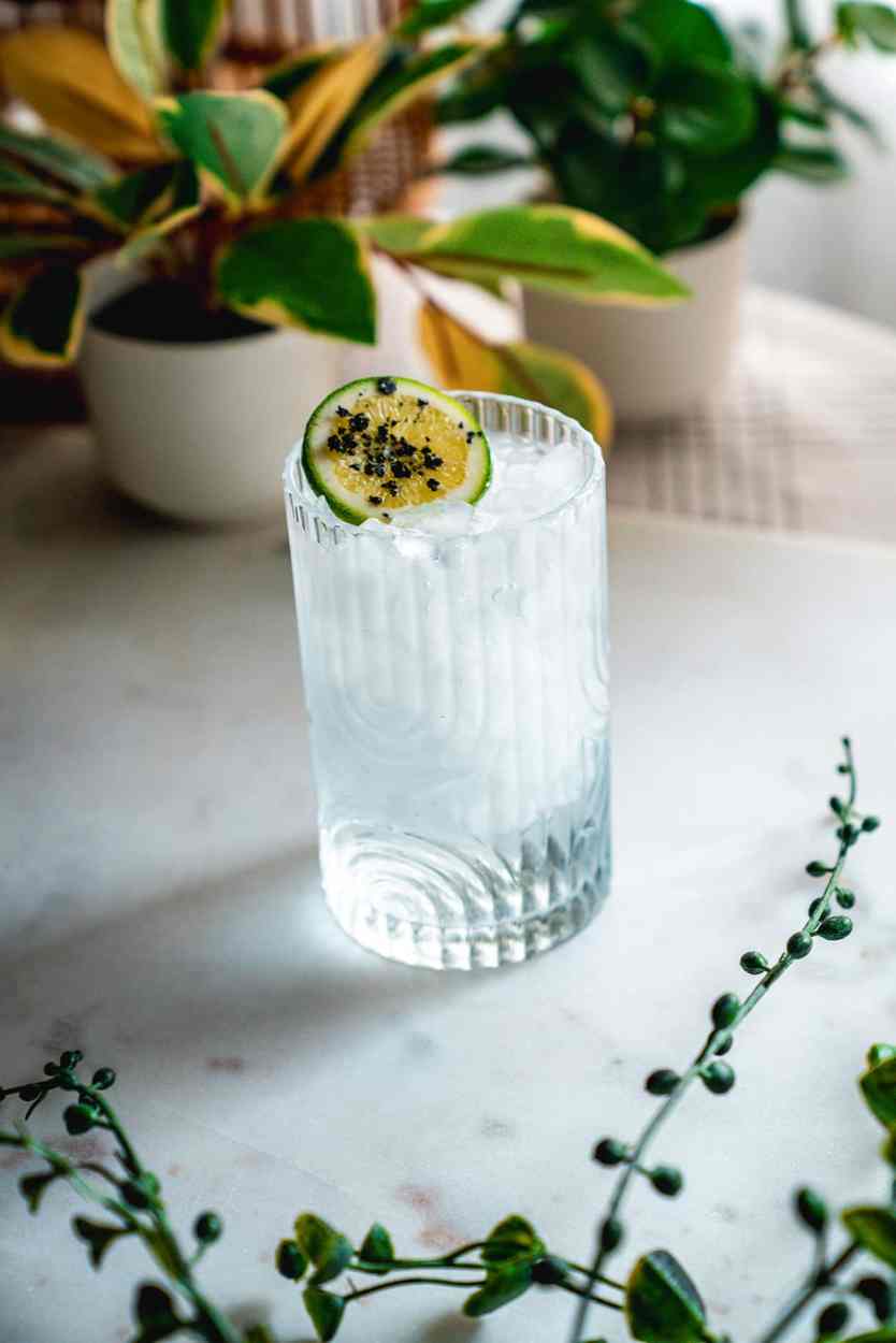 Tequila Soda 1 Tequila Soda cocktail recipe