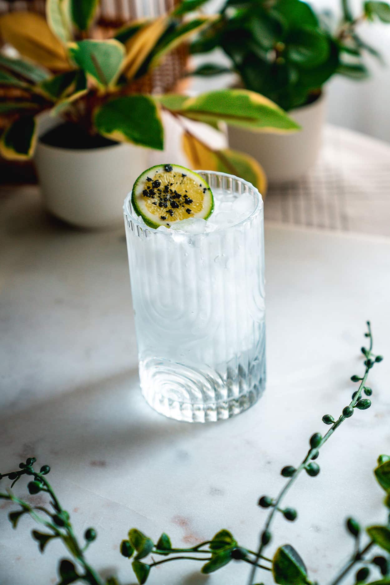 Tequila Soda 13 Tequila Soda cocktail recipe