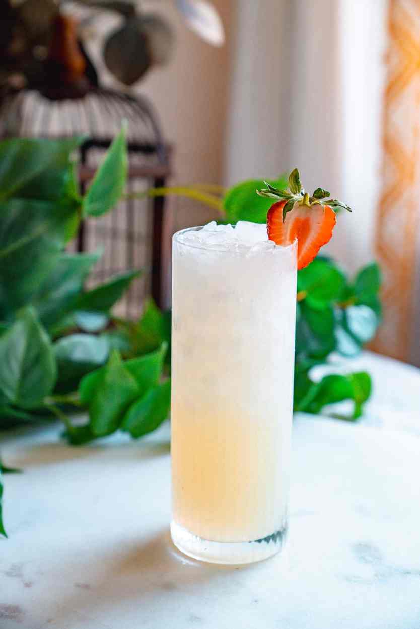 Vodka Lemonade 1 Vodka Lemonade cocktail recipe