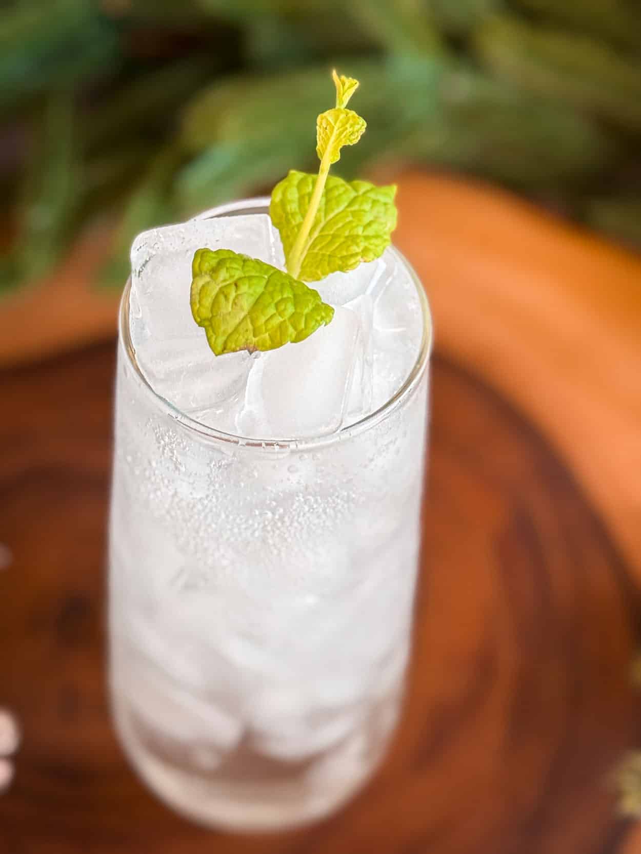 Mint & Pine Snowfall Spritz 3 Mint and Pine Snowfall Spritz cocktail recipe