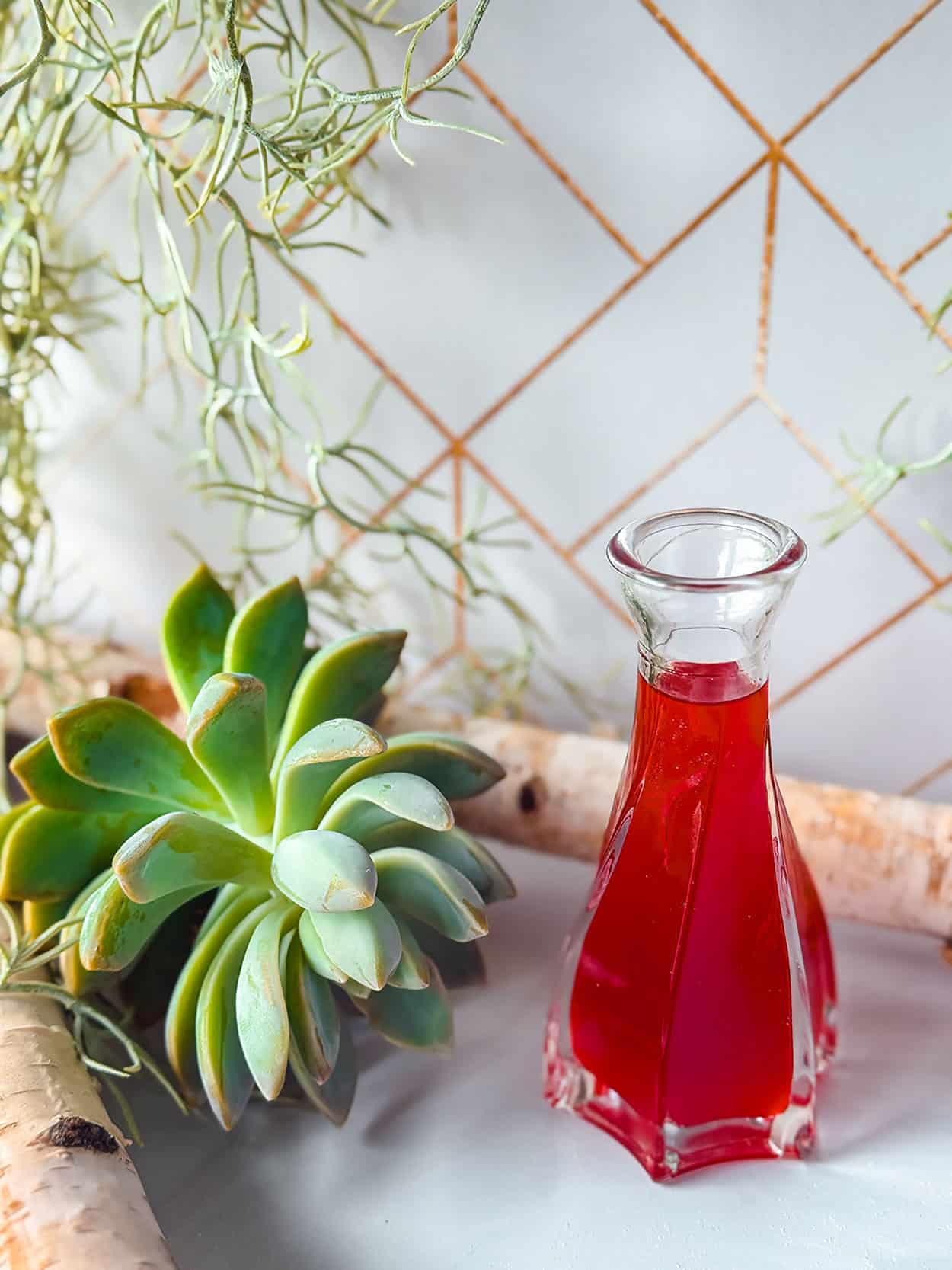 Simple Syrups 43 Prickly Pear Simple Syrup recipe